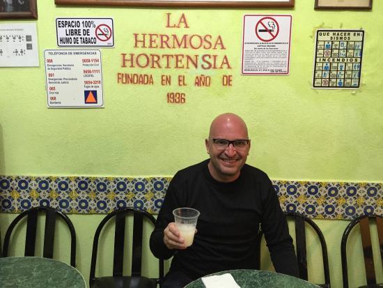 La Hermosa Hortencia